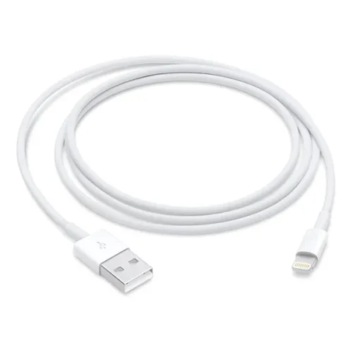 Apple USB Type-A to Lightning Cable (3.3')