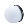 Jinbei HD-2 softball