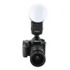 Jinbei HD-2 softball - Image 4