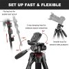 Jmary KP-2264 Professional Aluminium Tripod Monopod for DSLR - Image 2