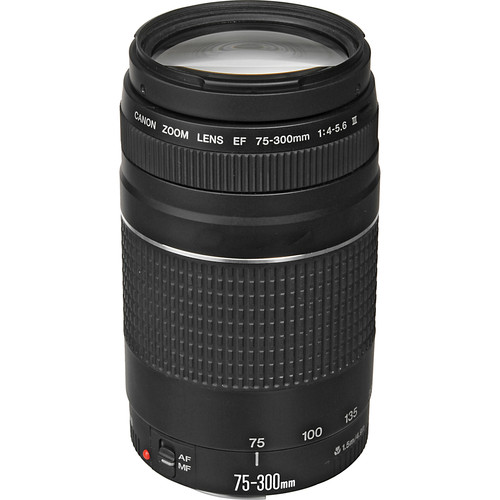 canon-75-300mm-A.jpg Canon EF 75-300mm f/4-5.6 III Lens - Image 1